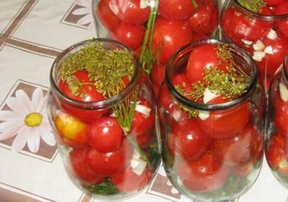 Tomato untuk musim sejuk dalam gelatin tanpa otstu