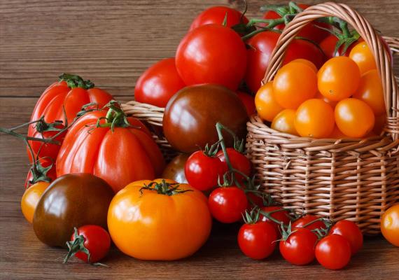 Hæv tomaterne i dine drømme indtil hvilket tidspunkt